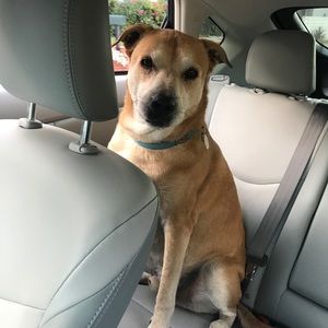 Meet your Posher, Hara